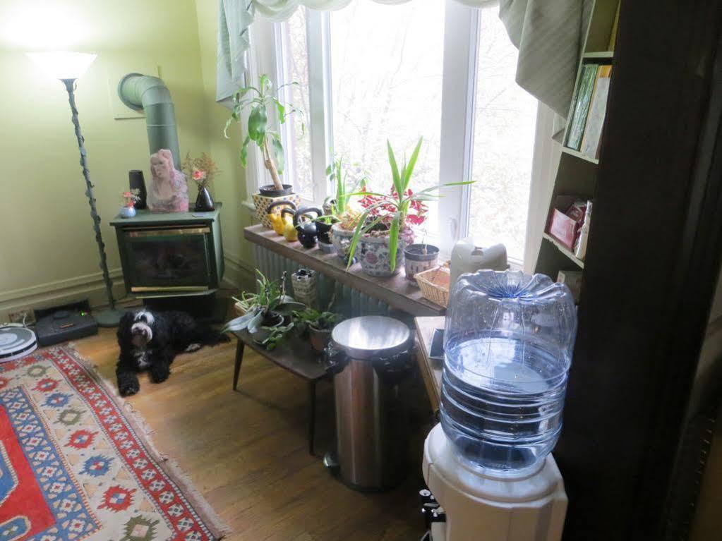 Downtown Bed And Breakfast Ottawa Esterno foto